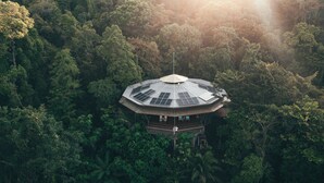 Un edificio circular con una cúpula central y paneles solares, rodeado de un bosque denso.