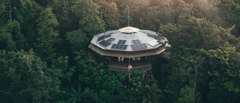 A circular building with a central dome and solar panels, surrounded by dense forest.