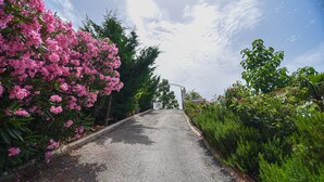 واجهة المنشأة