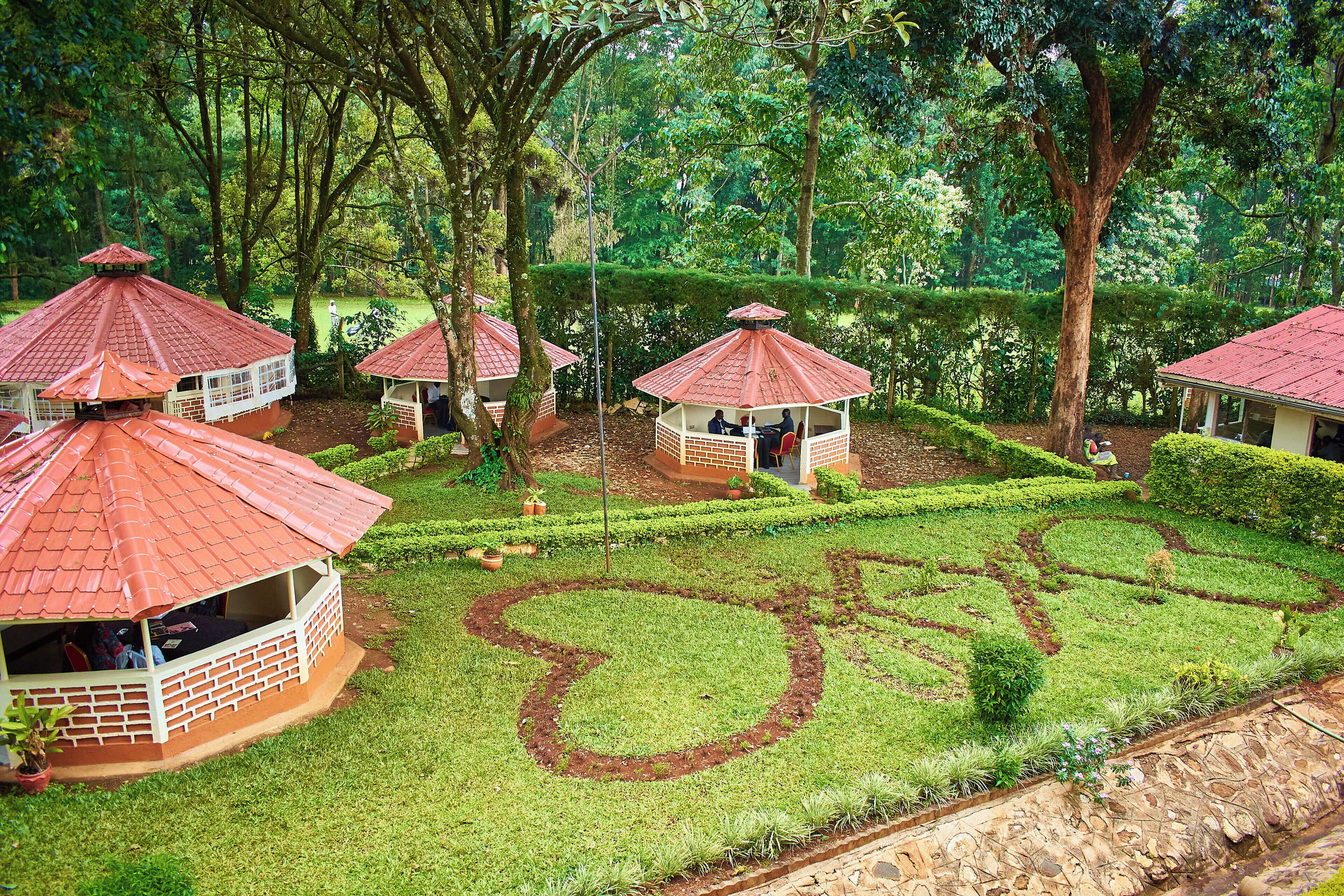 Jardín
