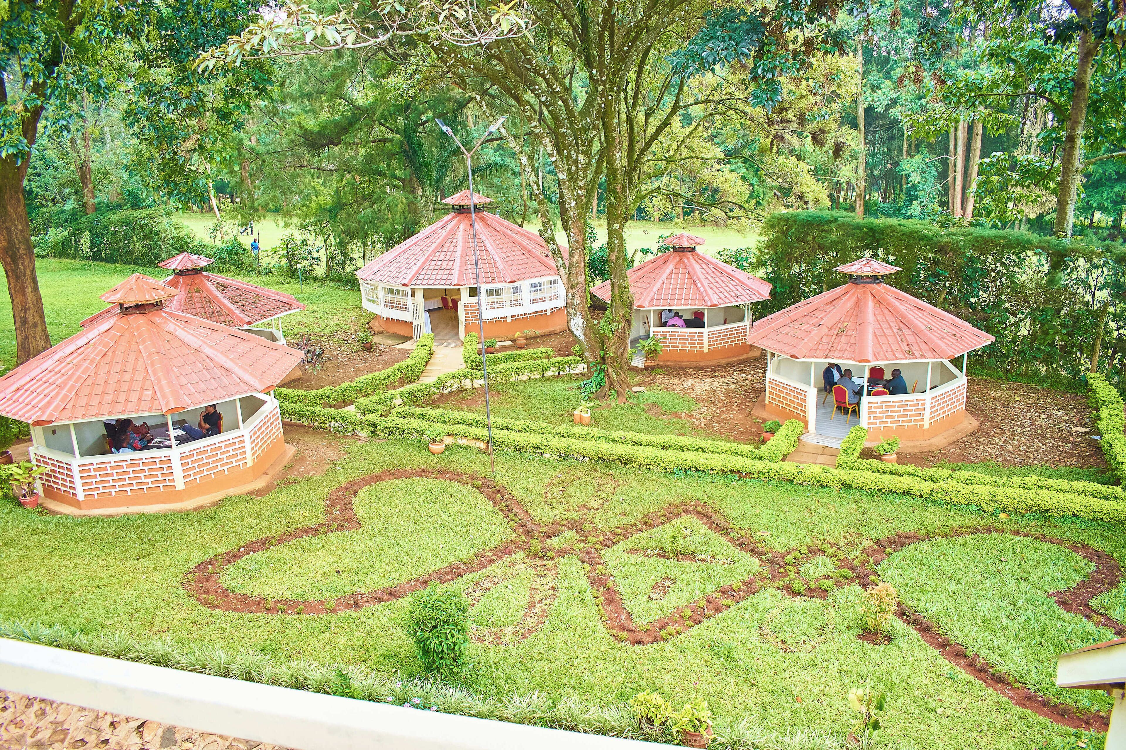 Jardín