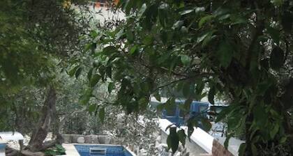 Levantin Inn 1-3 Room sea side N10