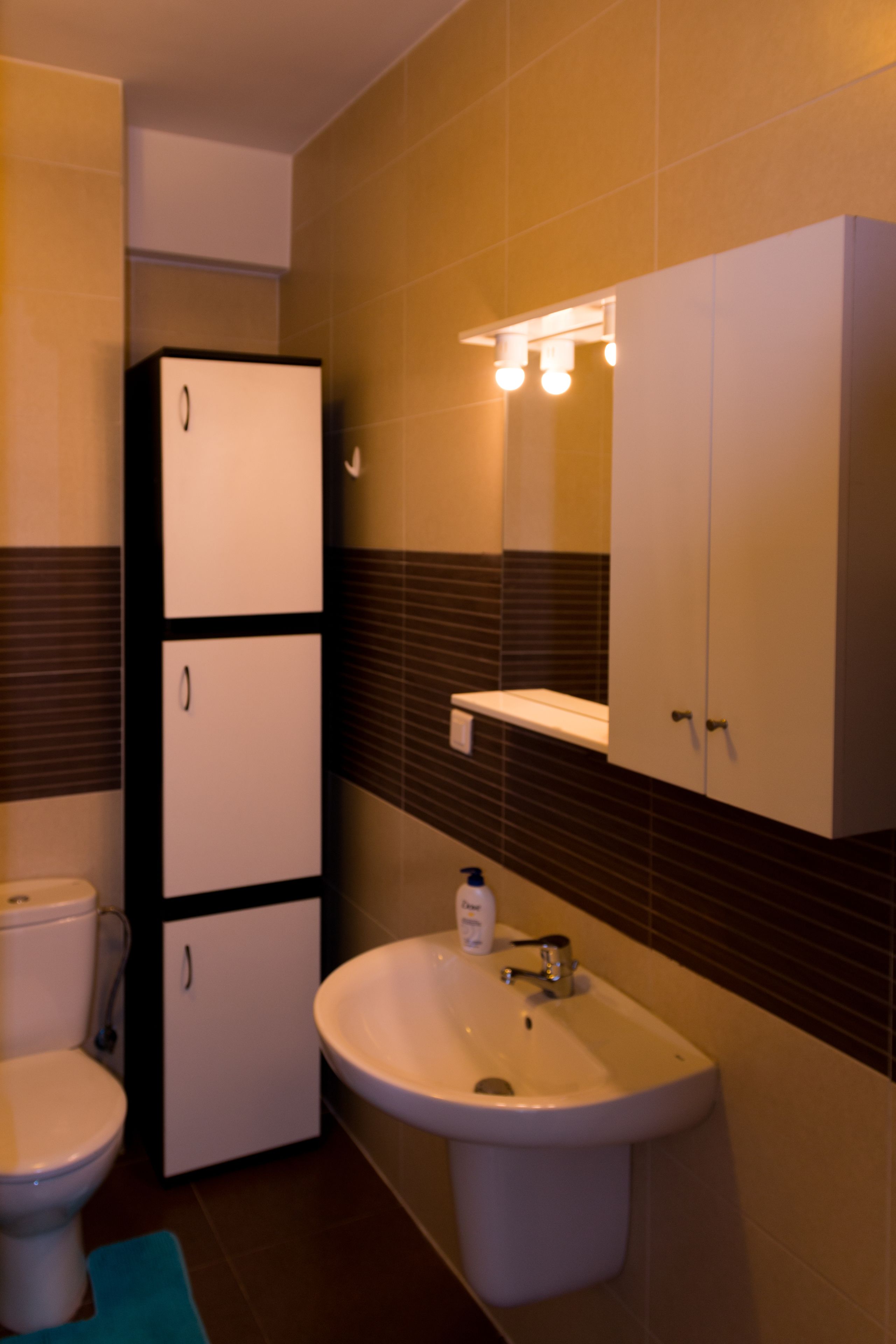 Un bagno con il water, un lavandino e un armadietto.