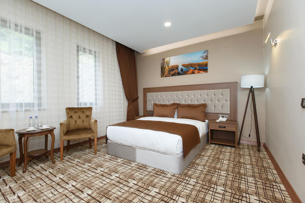 A hotel room with a bed, two armchairs, a small table, a bedside table, a floor lamp, and a painting on the wall.