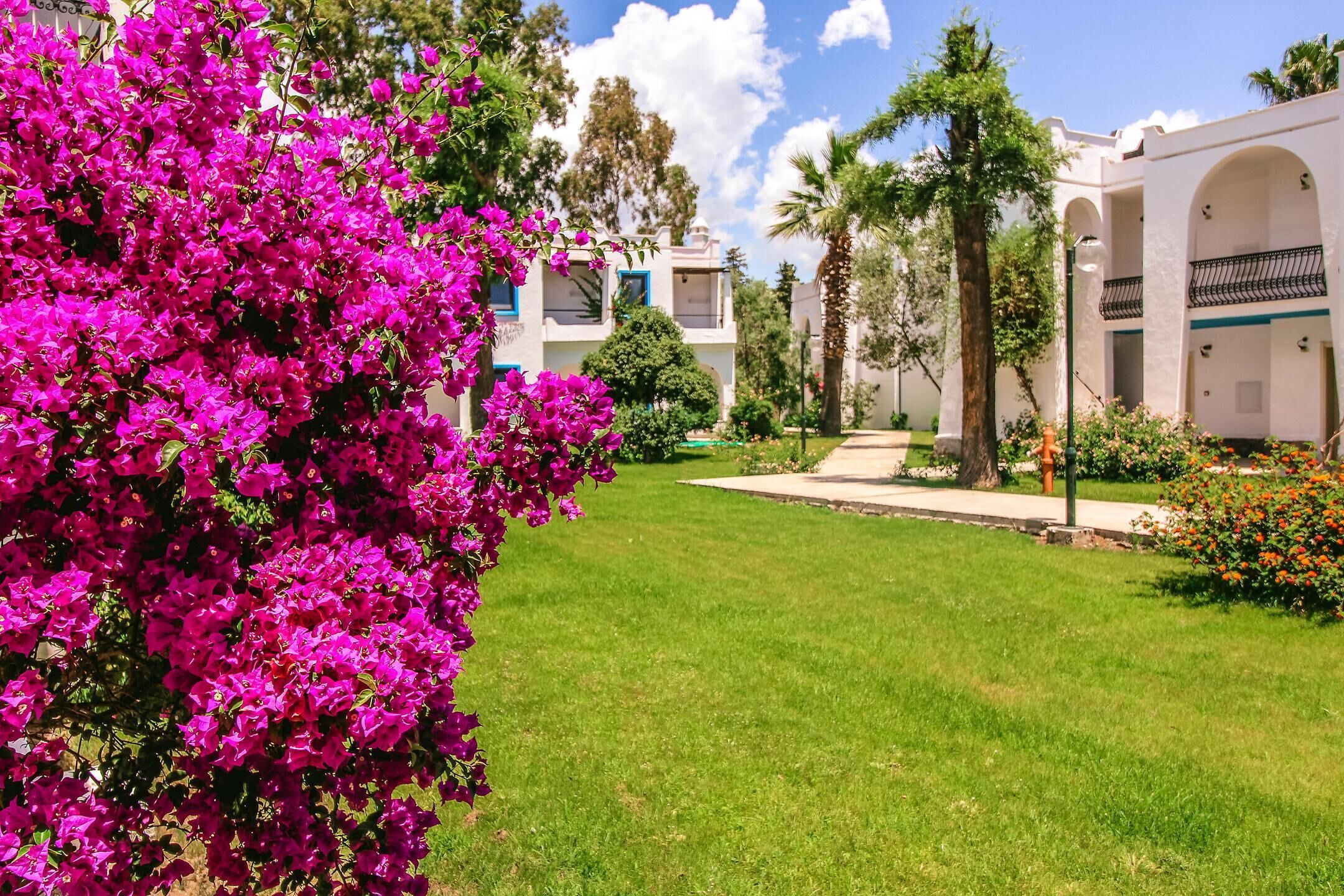 Side Sea View | Minibar, in-room safe, free cots/infant beds, bed sheets