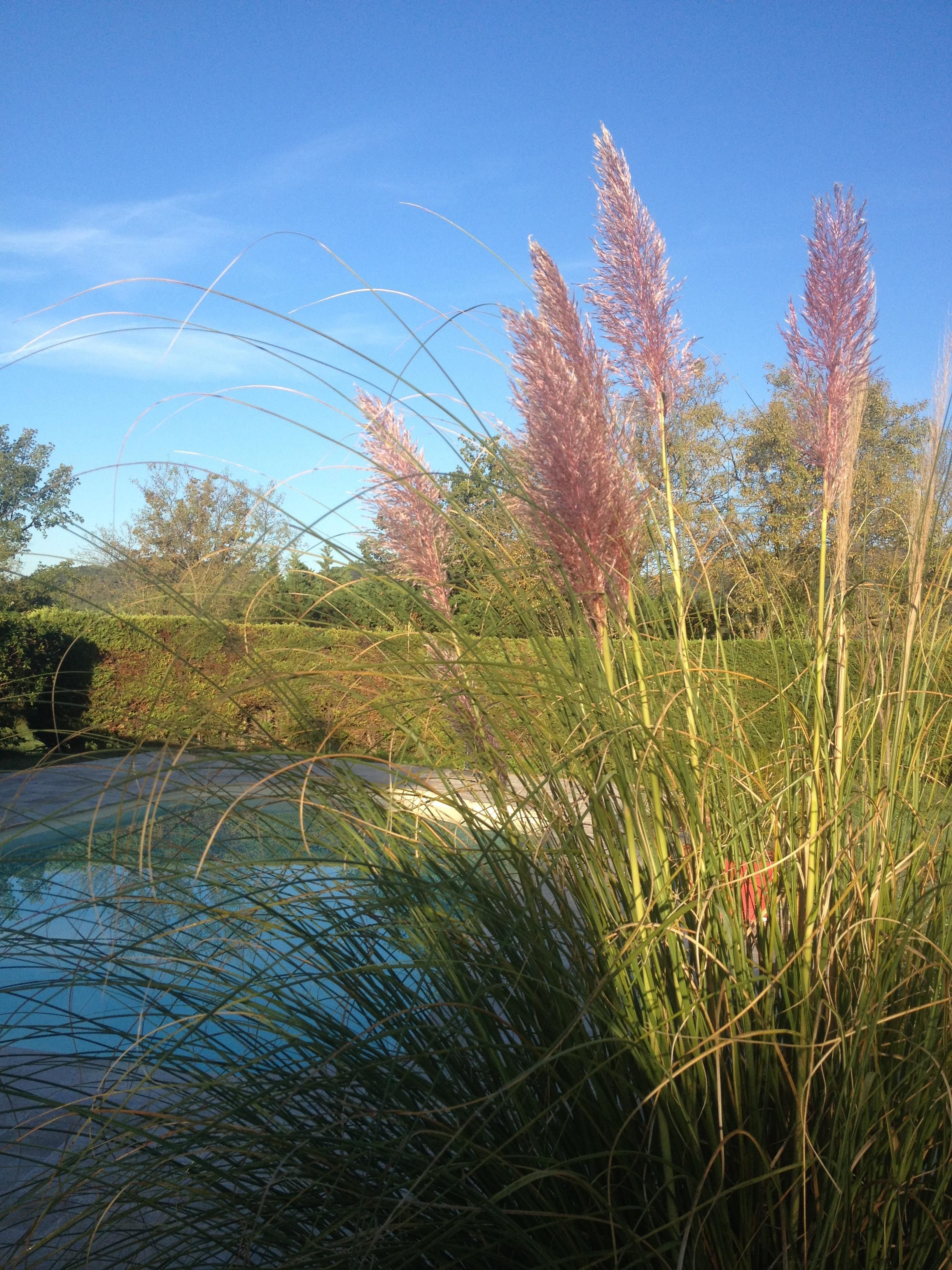 Outdoor pool, open 8:00 AM to 10:00 PM, pool umbrellas, pool loungers