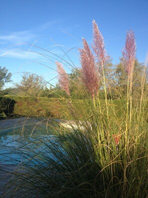 Ulkouima-allas avoinna 8.00–22.00, aurinkovarjoja, aurinkotuoleja