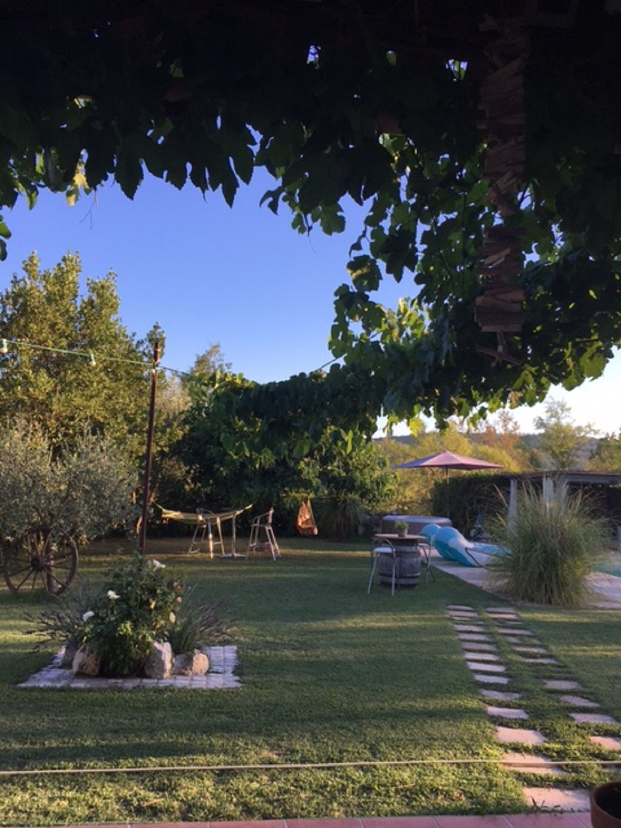 Un jardín bien cuidado con césped, una pérgola cubierta de enredaderas, un parque infantil y una zona de barbacoa.