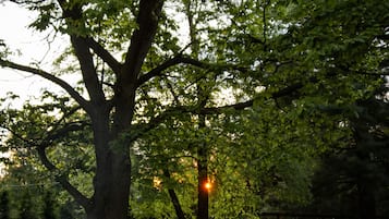 Parco della struttura