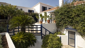 Une cour avec un bâtiment blanc, une porte bleue et des plantes en pot.