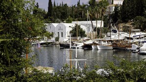 Un port de plaisance où sont amarrés des bateaux, entouré de verdure et de bâtiments blancs.