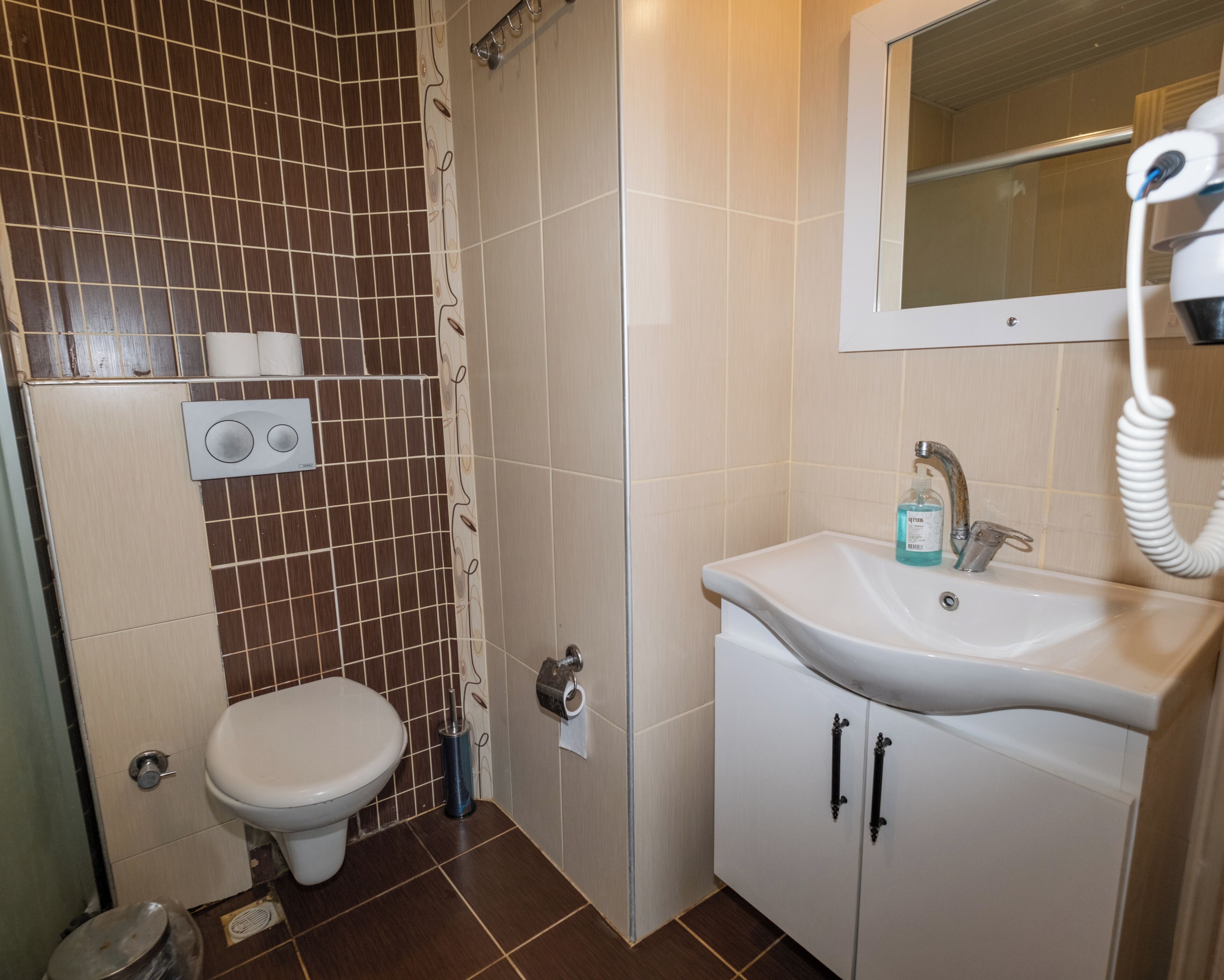A bathroom with a toilet, a sink, and a shower area.