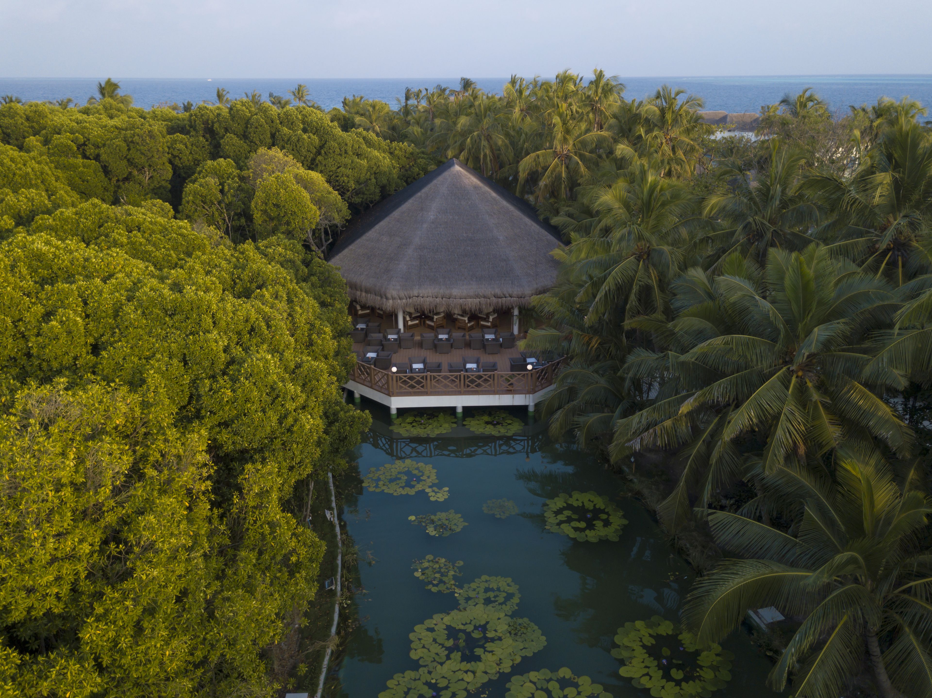 An overwater bungalows with thatched roofs, surrounded by dense tropical vegetation and a calm lagoon.