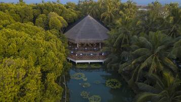 An overwater bungalows with thatched roofs, surrounded by dense tropical vegetation and a calm lagoon.