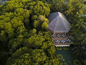 Vista aérea de un resort con una estructura de techo de paja rodeada de exuberante follaje tropical y palmeras.