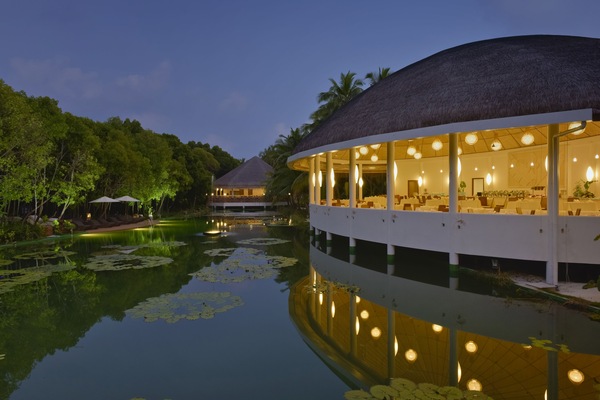 Kolam renang outdoor, dengan kursi berjemur
