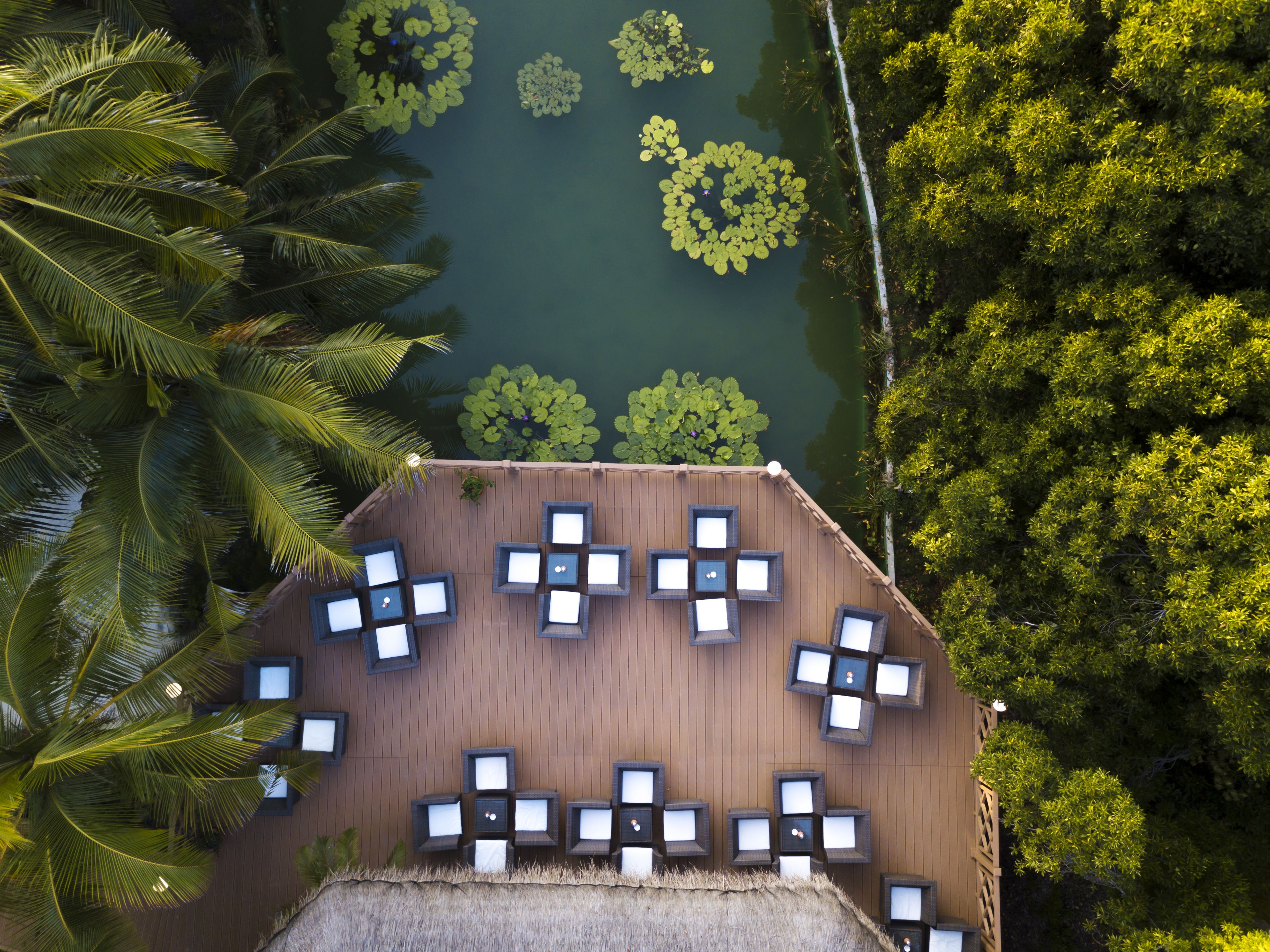 An aerial view of a rooftop with a wooden deck, surrounded by lush greenery and a body of water with lily pads.
