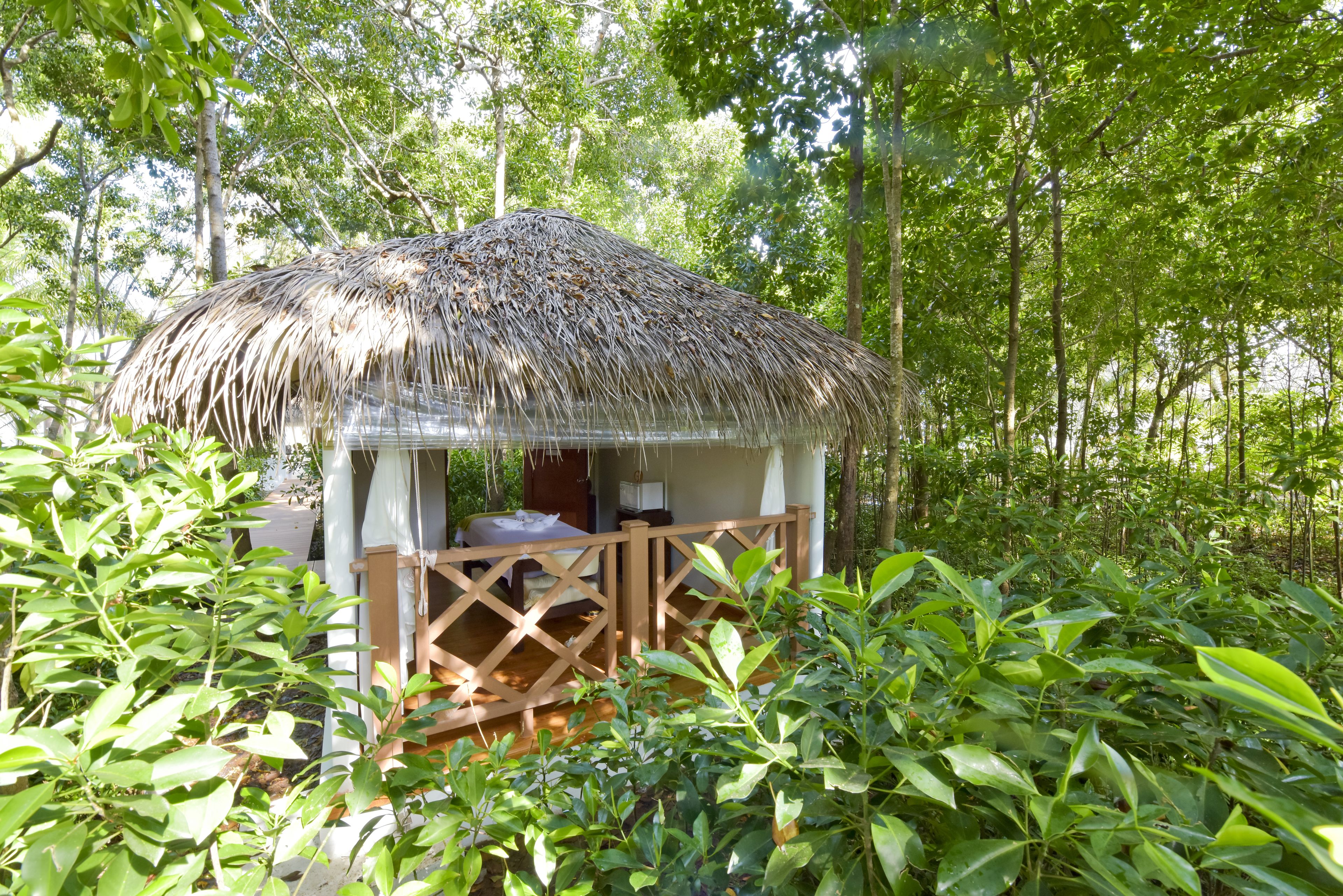 Uma cabana com telhado de palha e varanda de madeira, rodeada por vegetação exuberante.