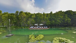 Un resort tranquilo junto al lago con una piscina circular, rodeado de exuberante vegetación y una fila de sillas de sol.