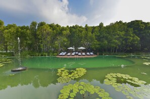 Una piscina al aire libre, sillones reclinables de piscina