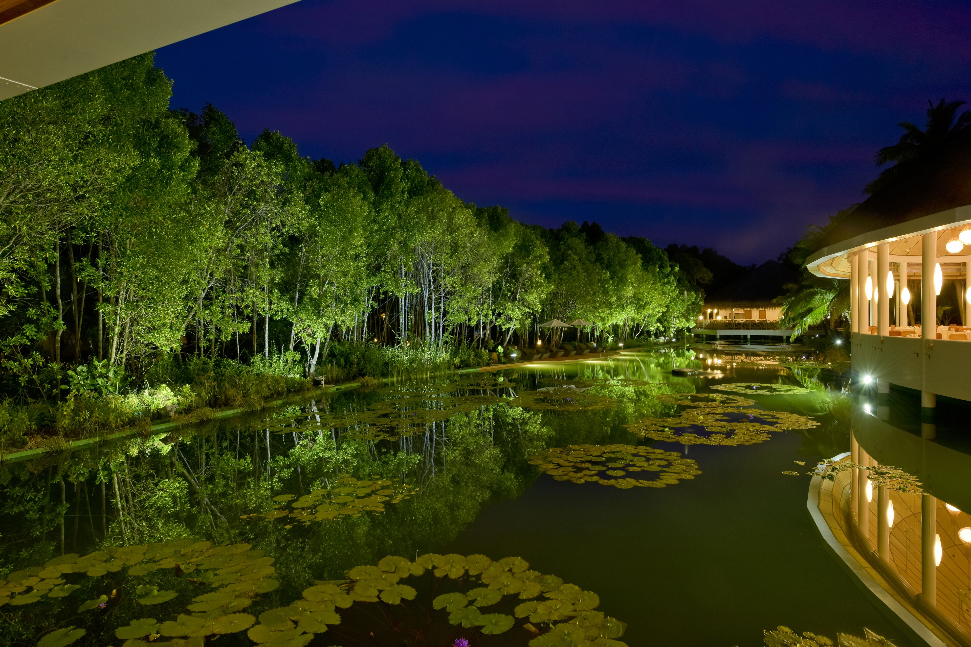 Cena noturna serena com um lago refletor, rodeado por vegetação exuberante e um edifício moderno com colunas iluminadas.