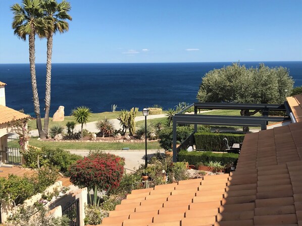 A residential area with a view of the ocean, palm trees, and a garden with various plants.