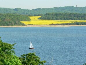 Imagen sin descripción, 4 de 19, botón