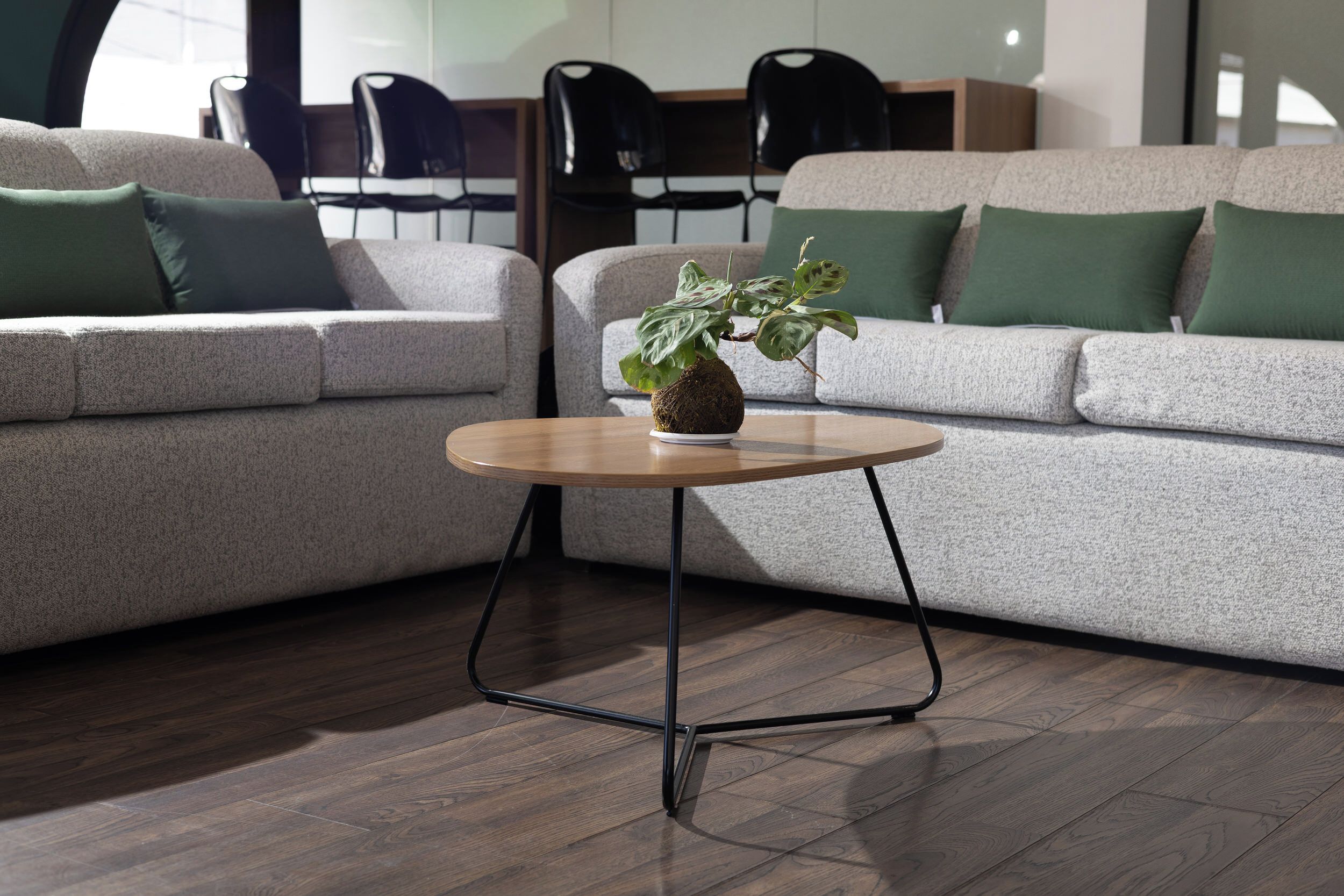 Una sala de estar moderna con un sofá gris, una mesa de centro redonda de madera y una planta en maceta.