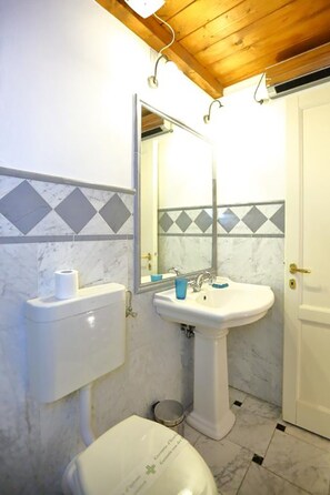 シャワー、ヘアドライヤー、ビデ、タオル