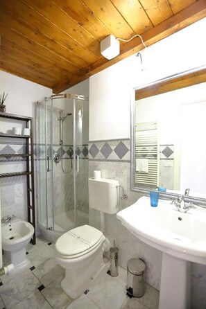 Shower, hair dryer, bidet, towels
