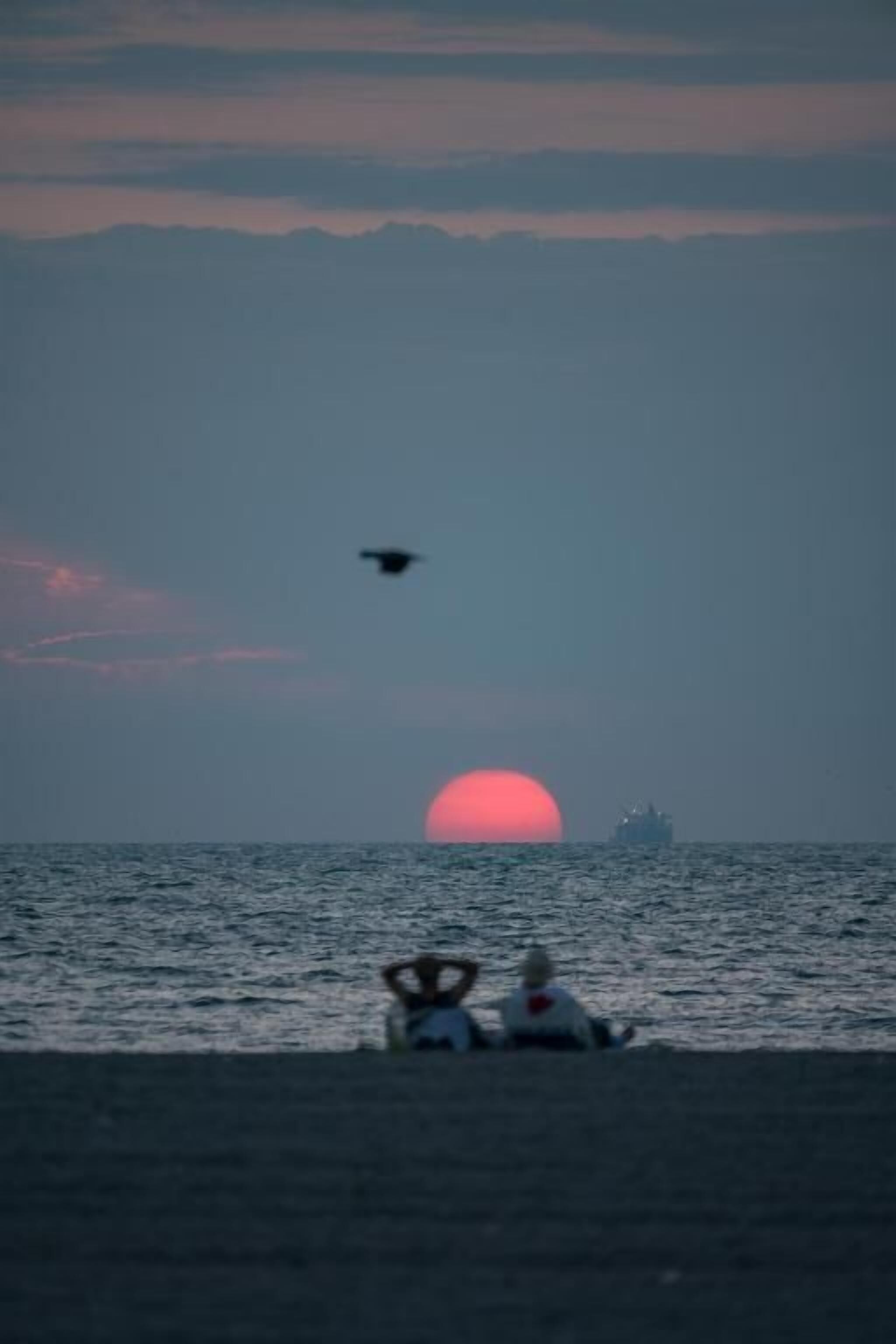 Un atardecer sobre el océano con un barco a lo lejos y un ave volando.