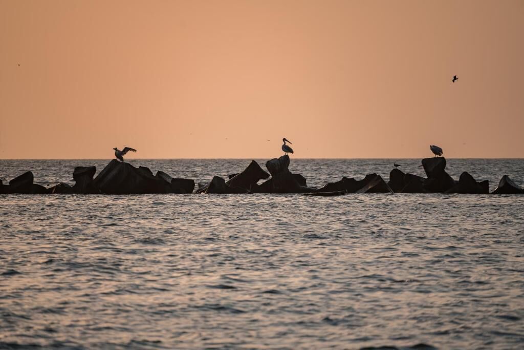 A sunset over a calm sea with rocks and birds.