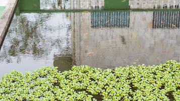 Jardín