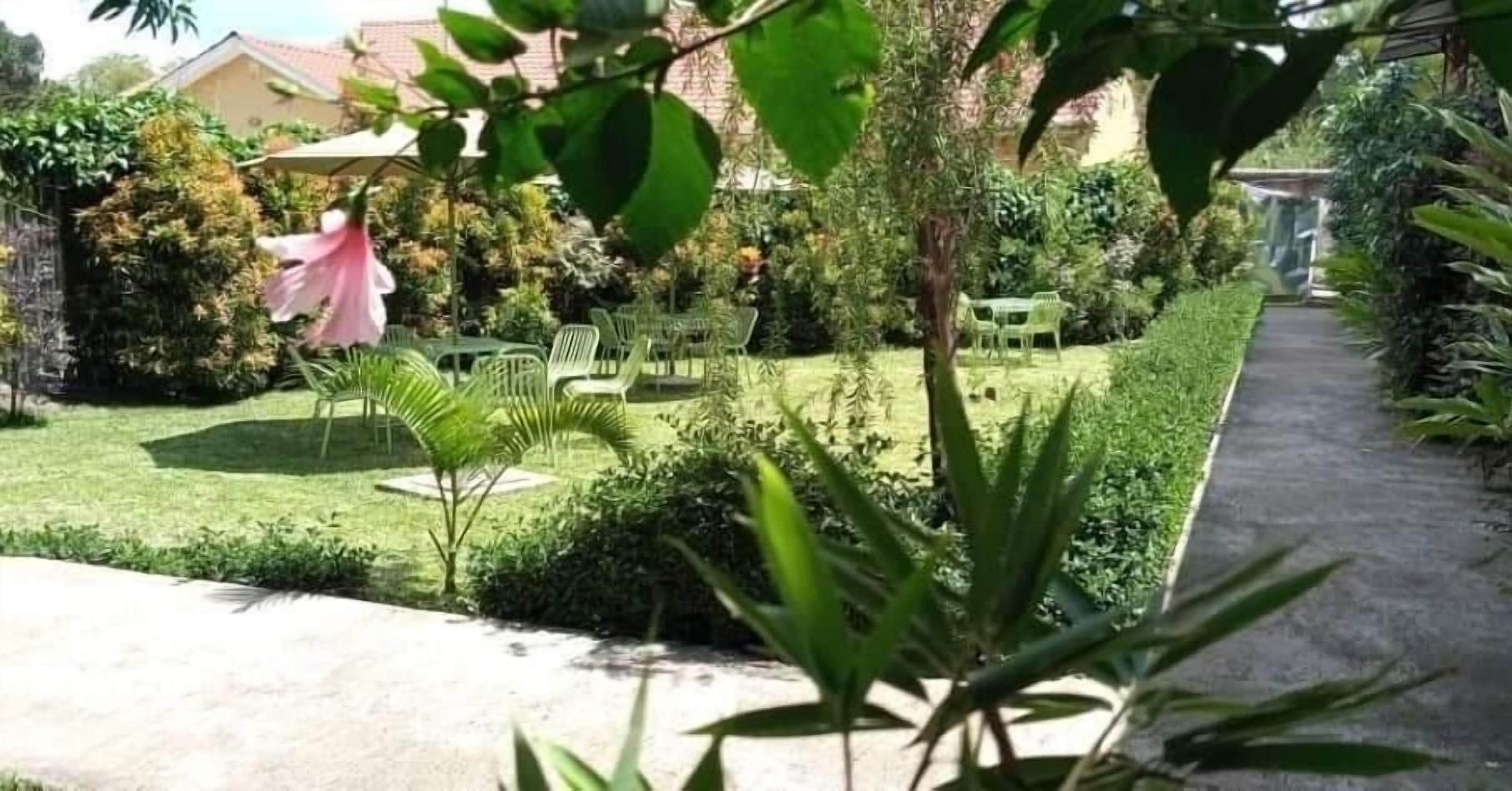 A garden with a pathway, green chairs, and a small table.