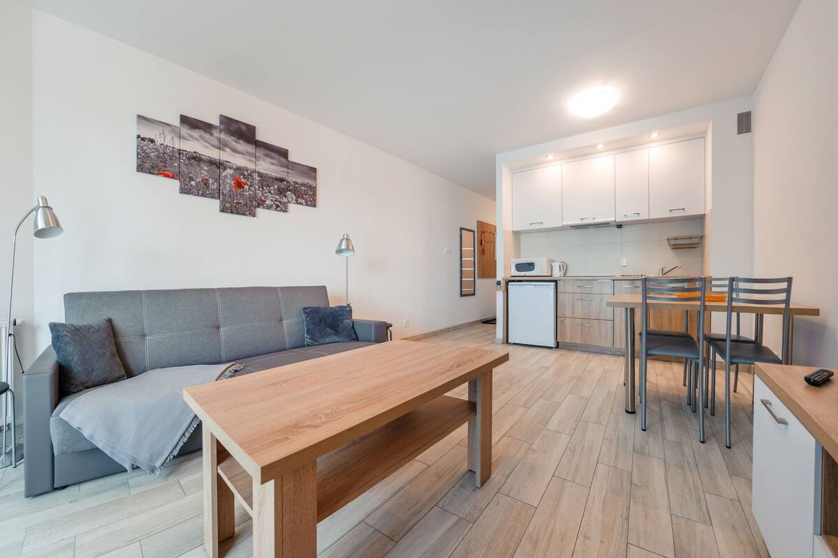 A modern apartment with a living area, a dining table, and a kitchenette.