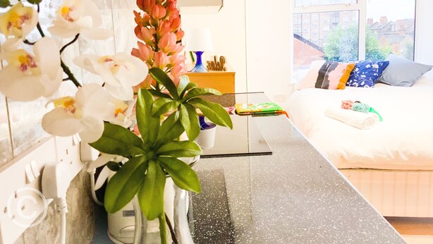 A modern hotel room with a bed, a large window, and a vase with flowers. - Cricklewood Studio Flats (London)