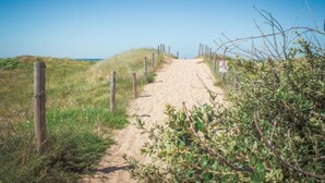 En sti af sand med træpæle, omgivet af grøn vegetation, der fører mod havet.