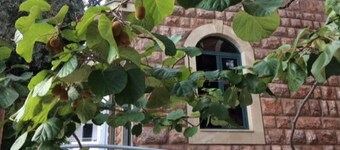 Levantin Inn 1,2 Room N12