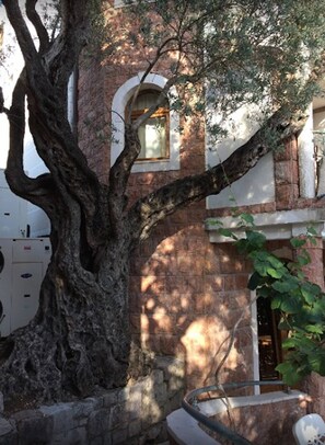 Property grounds - Levantin Inn 1,2 Room N12 (Budva Municipality)