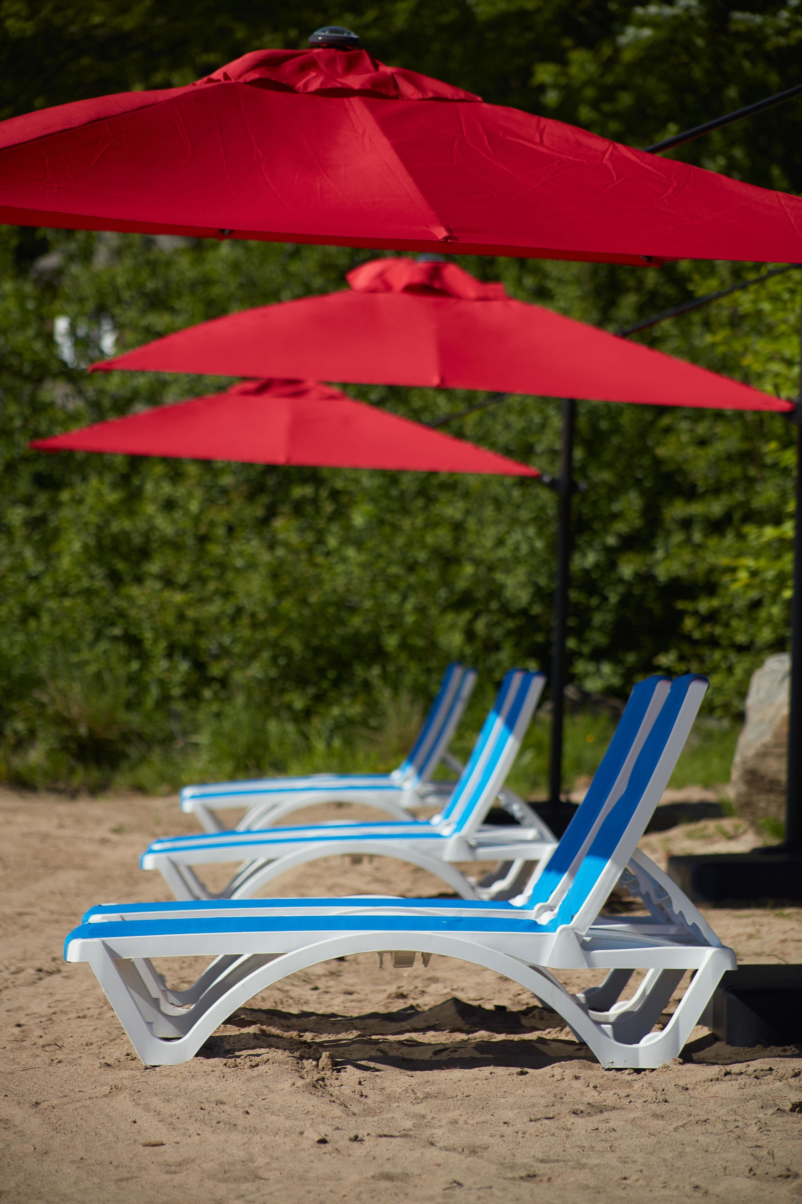 A row of beach chairs with blue and white cushions, red umbrellas, and a sandy beach in the background.