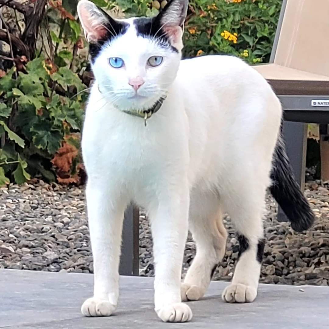 Foto - El Cielo Azul
