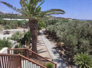 Terrain de l’hébergement 