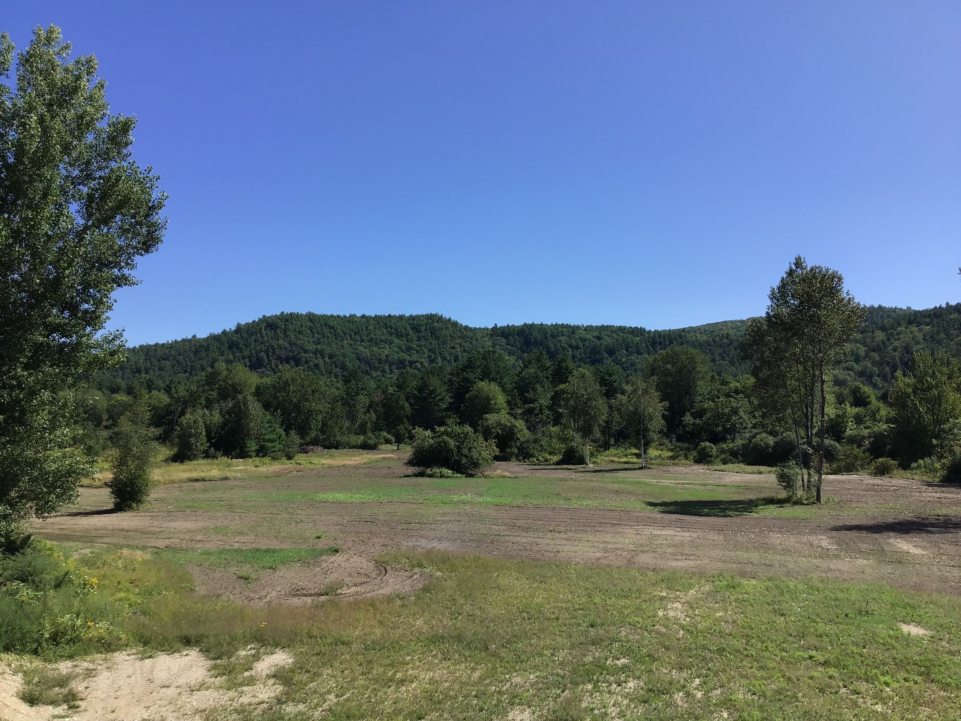 Un paisaje natural con una colina boscosa al fondo y un campo cubierto de hierba en primer plano.