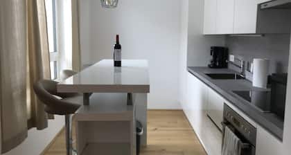 Cozy, Modern 1-bdrm Apt w/Garage near VIC-UNO City