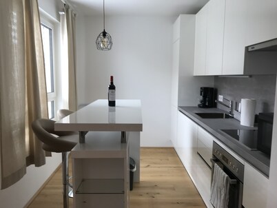 Cozy, Modern 1-bdrm apt w / garage near VIC-UNO City