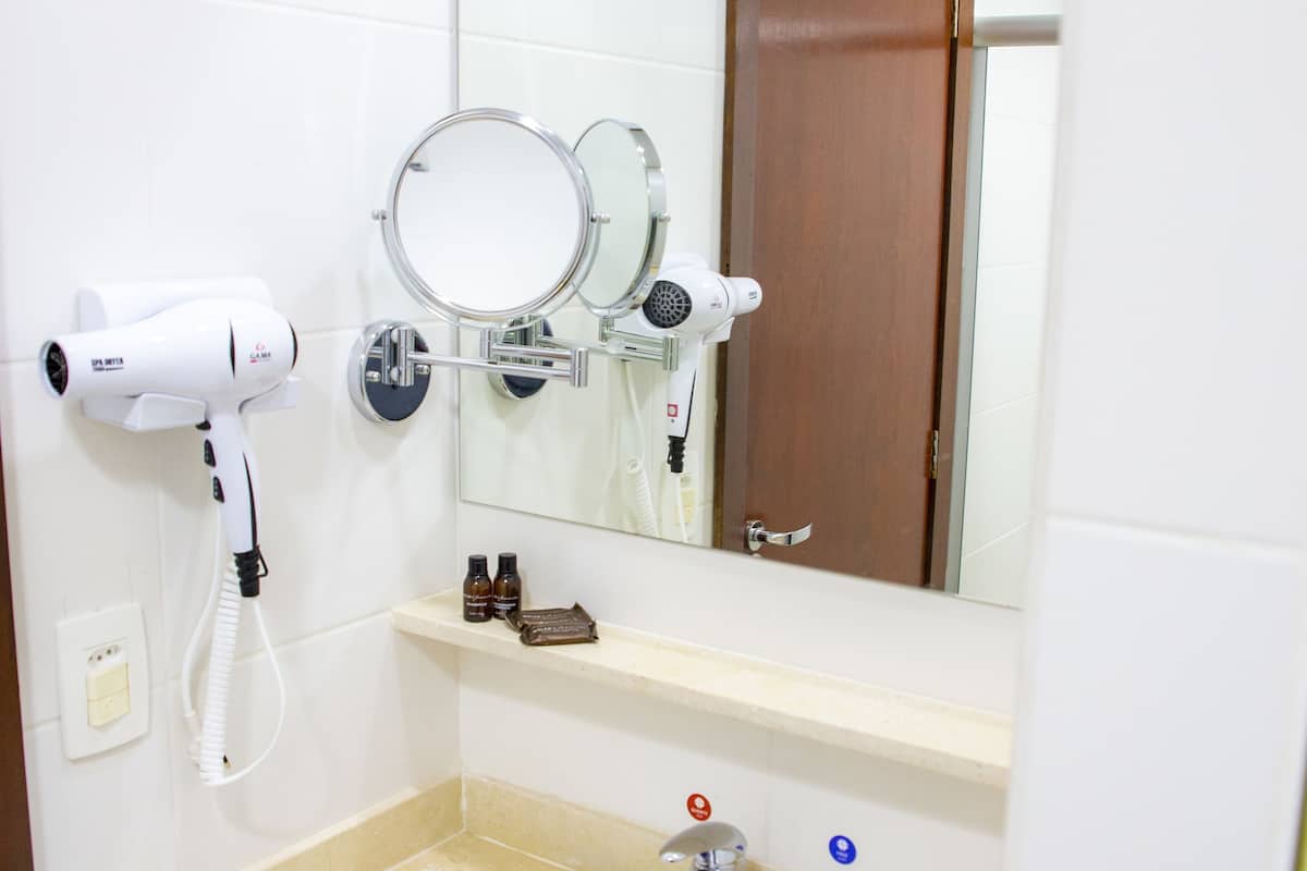 shower, free toiletries, hair dryer, bidet