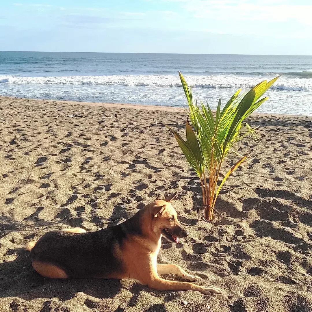 海灘