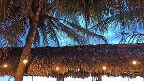 A beachside thatched structure with seating and a view of the ocean. - El Belga Loco (León)