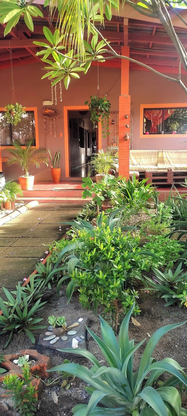 A covered outdoor area with potted plants, a wooden bench, and a pathway leading to a building entrance. - El Belga Loco (León)