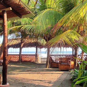 بالقرب من الشاطئ